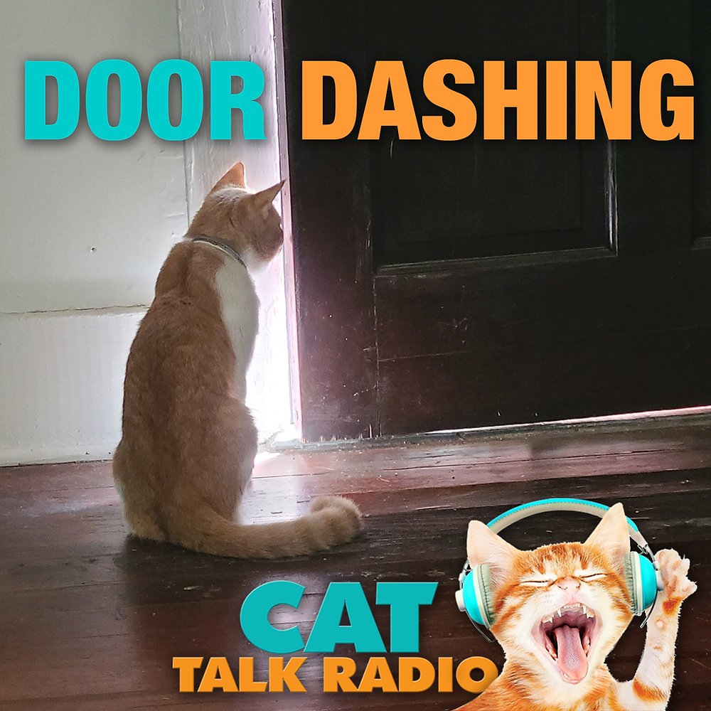 Is DoorDashing Worth It? Understanding What Drivers Really Earn