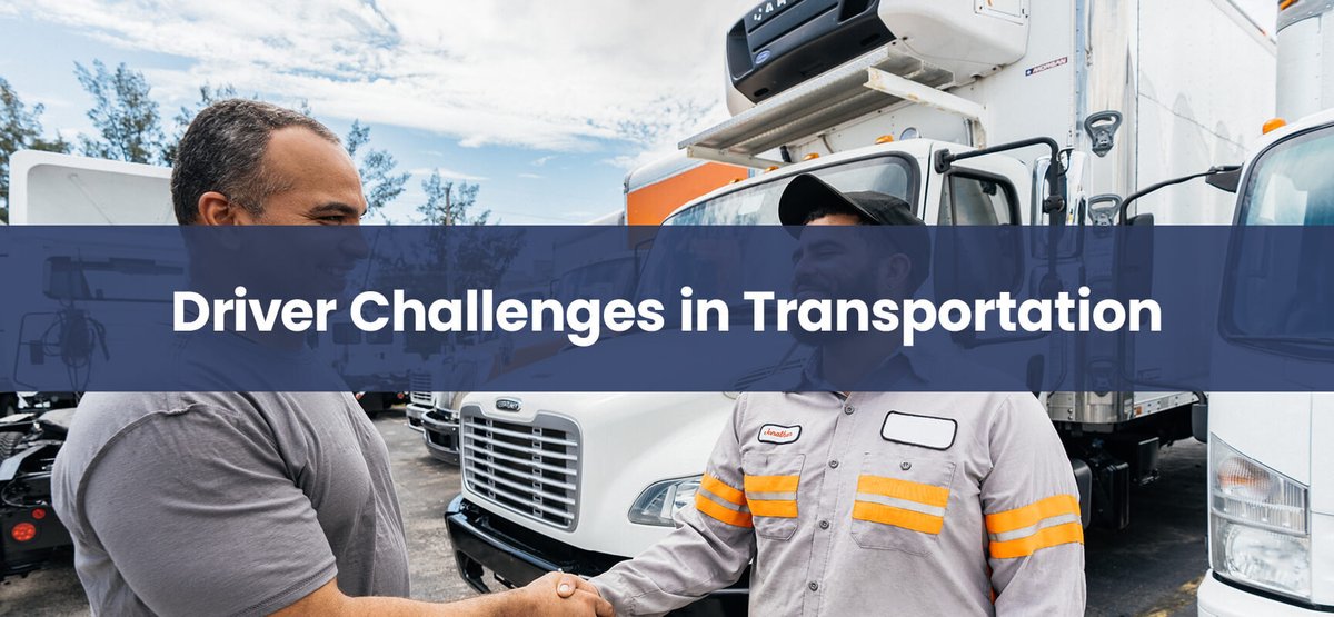 Real Driver Experiences & Common Challenges New Drivers Face